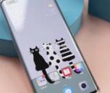 如何在華為手機(jī)上設(shè)置動(dòng)態(tài)壁紙？